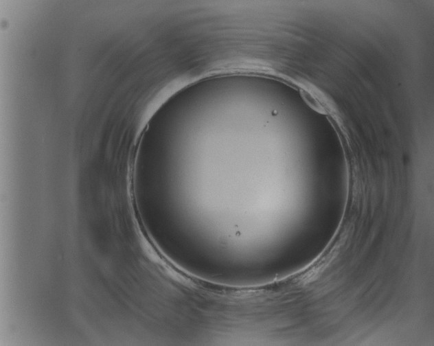 X0000066941390200603311406