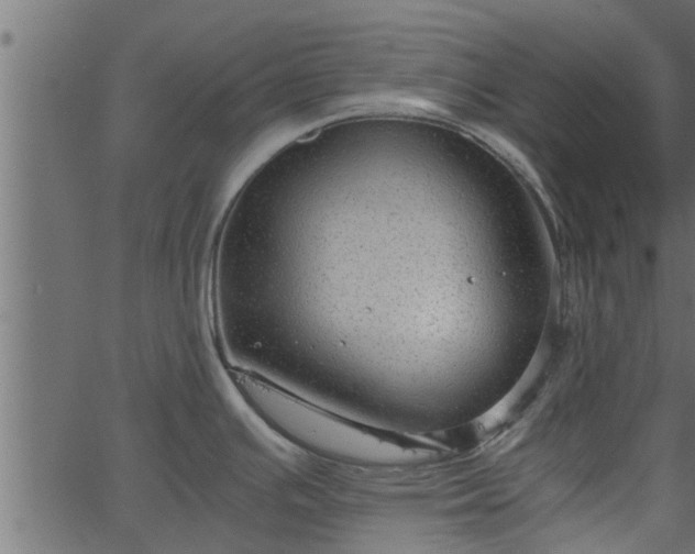 X0000066941391200603311406