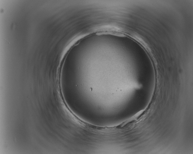 X0000066941392200603311406