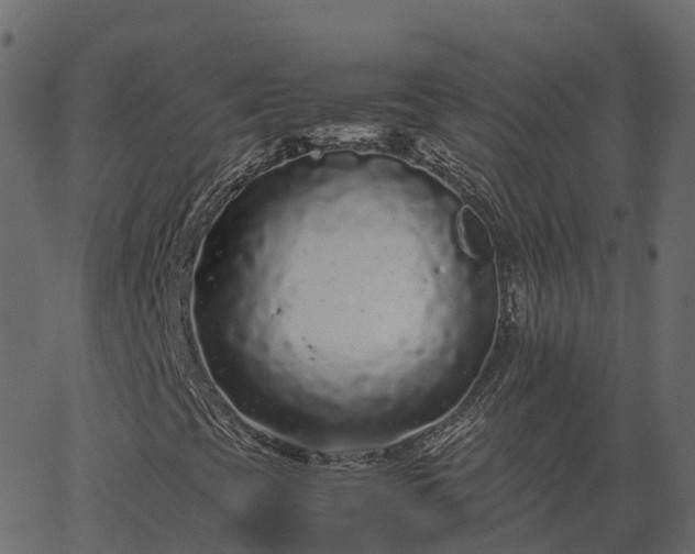 X0000066941393200603311405