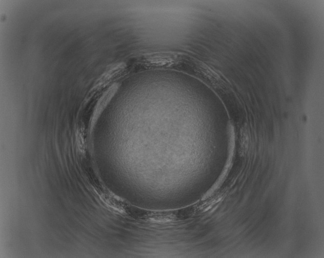 X0000066941394200603311405