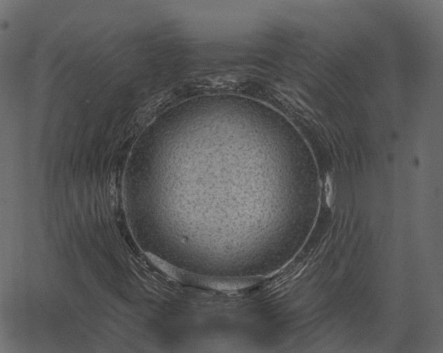 X0000066941395200603311405