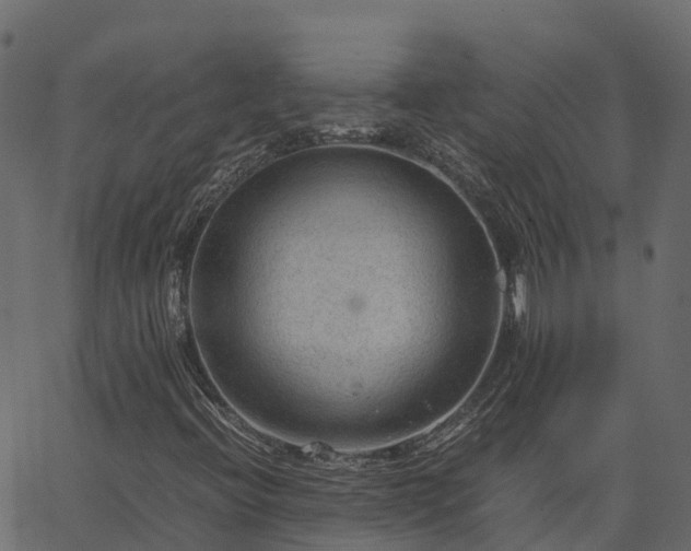 X0000066941396200603311405