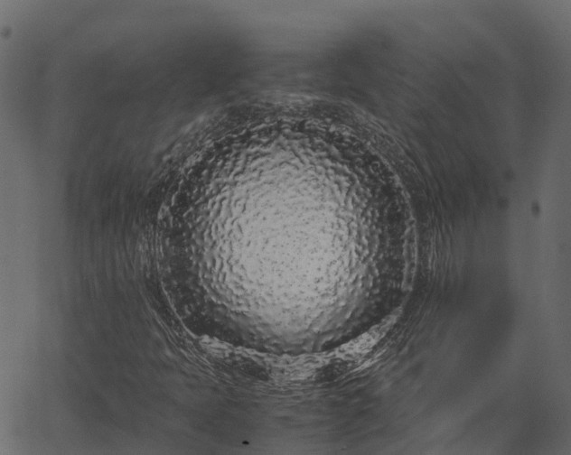 X0000066941397200603311405