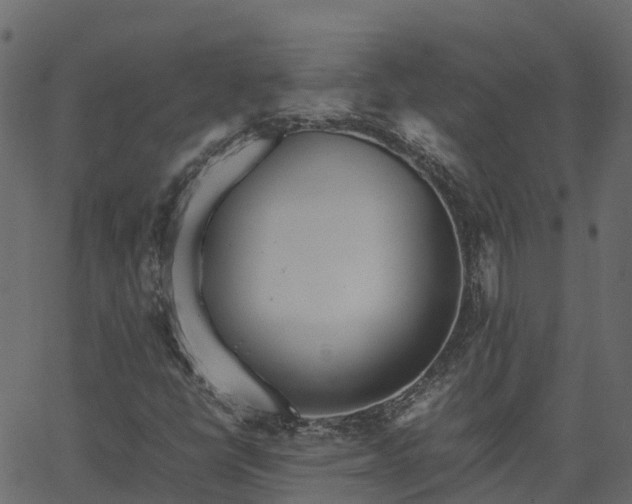 X0000066941398200603311405