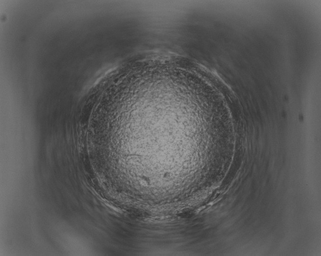 X0000066941399200603311405