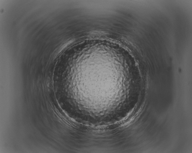 X0000066941401200603311405