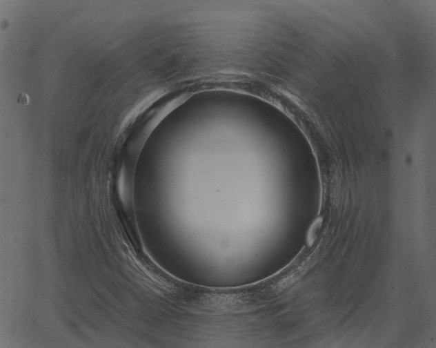 X0000066941402200603311405