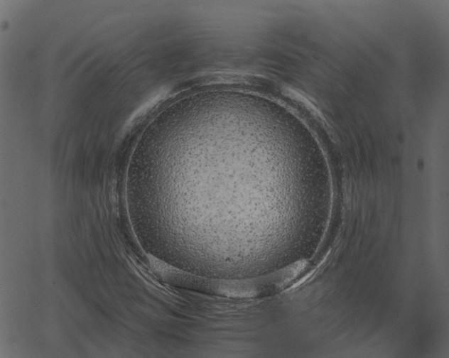 X0000066941403200603311405