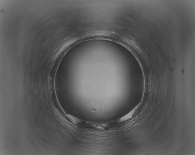 X0000066941404200603311405