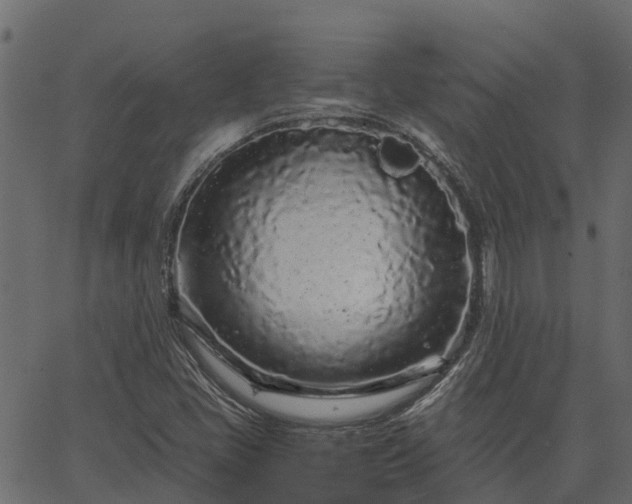 X0000066941405200603311405