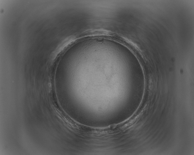 X0000066941407200603311405