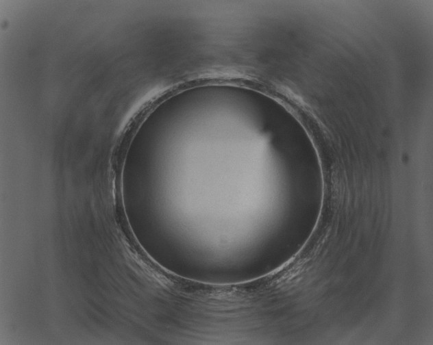 X0000066941408200603311405