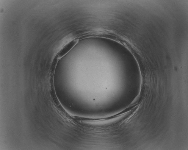 X0000066941410200603311405