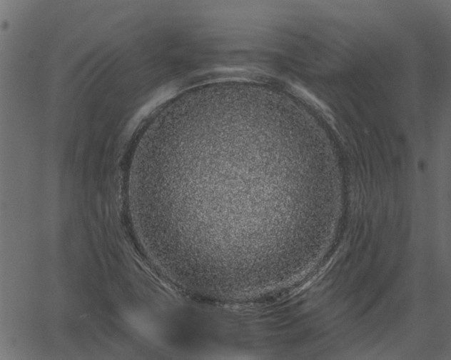 X0000066941411200603311405