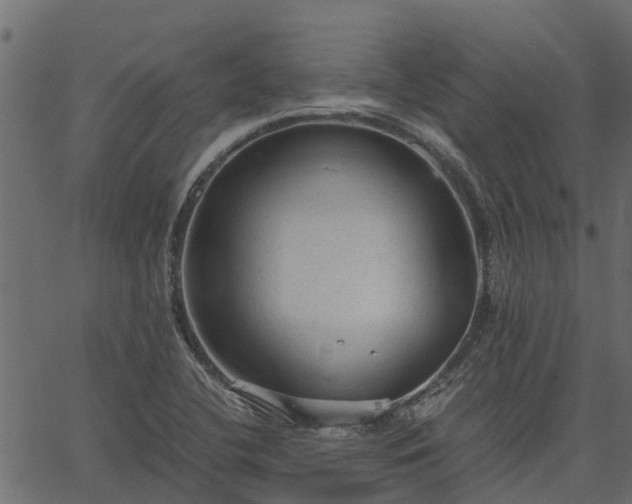 X0000066941412200603311405