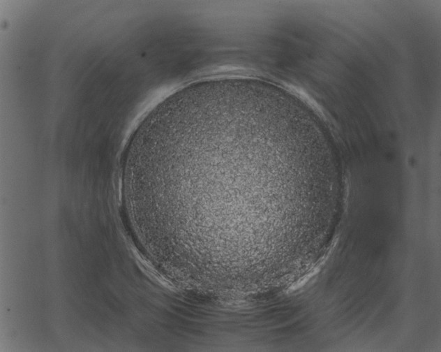 X0000066941413200603311405