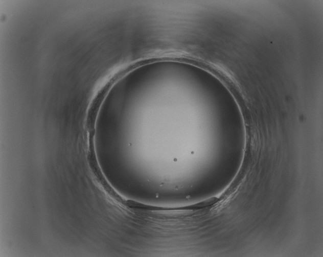 X0000066941414200603311405