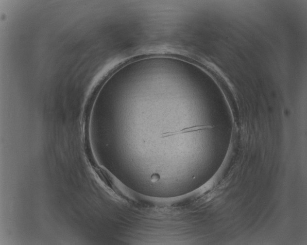 X0000066941416200603311405