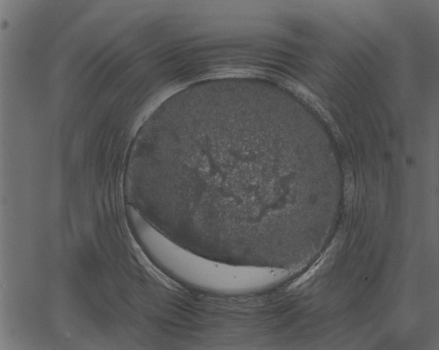 X0000066941417200603311405