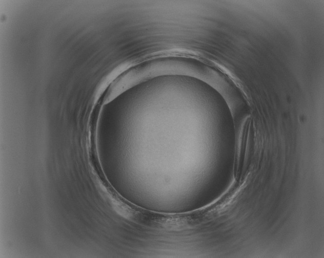 X0000066941418200603311406