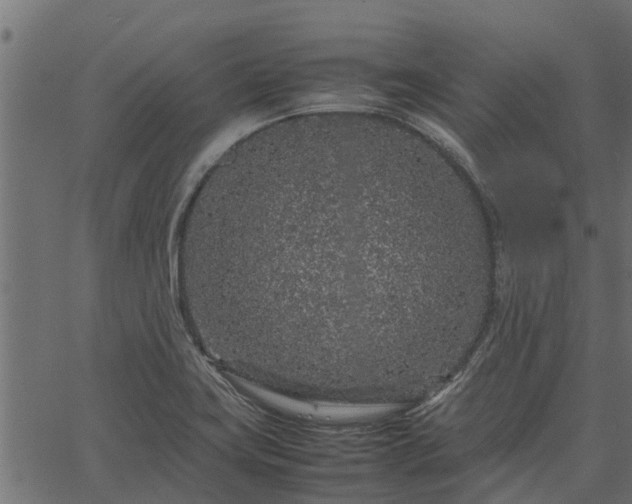 X0000066941419200603311406