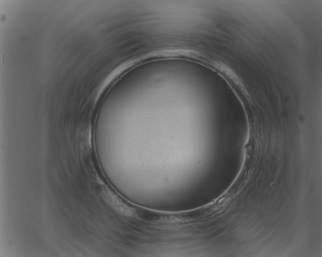 X0000066941420200603311406