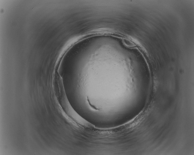 X0000066941421200603311406