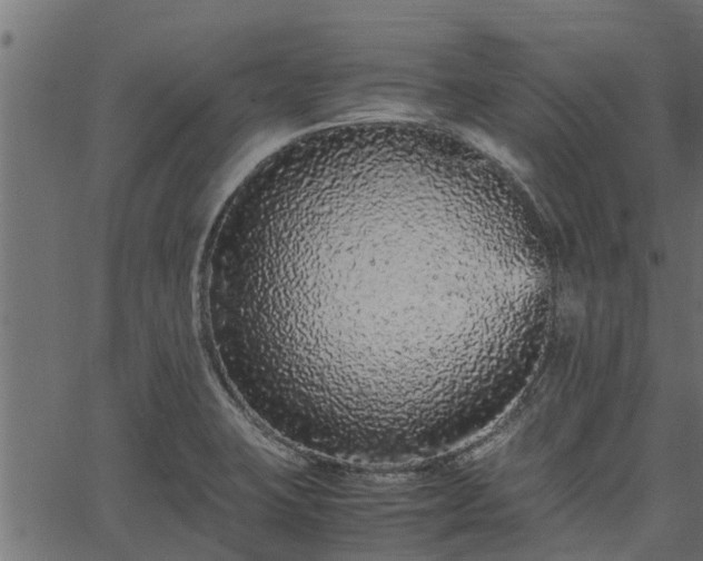 X0000066941423200603311406