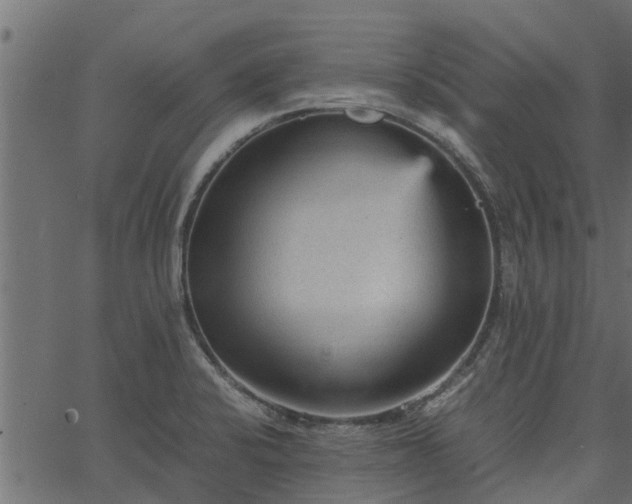 X0000066941424200603311406