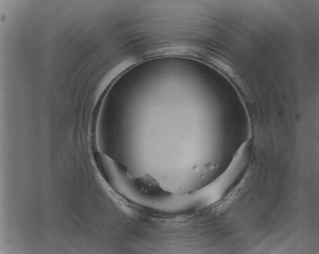 X0000066941426200603311406