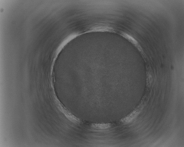 X0000066941427200603311406