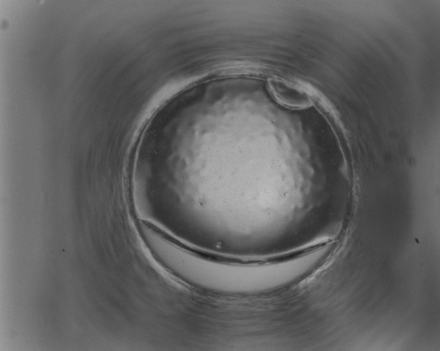 X0000066941429200603311406