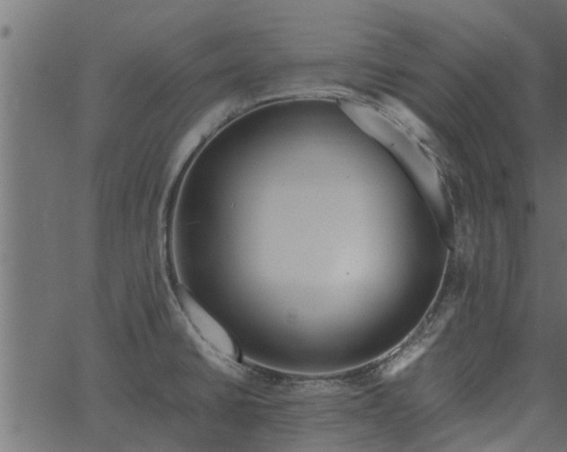 X0000066941430200603311406