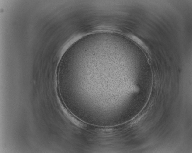 X0000066941431200603311406