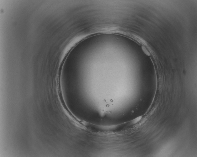 X0000066941432200603311406