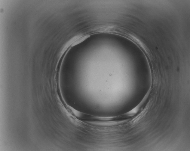 X0000066941434200603311406