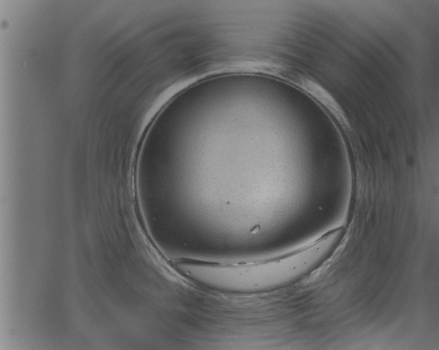 X0000066941436200603311406