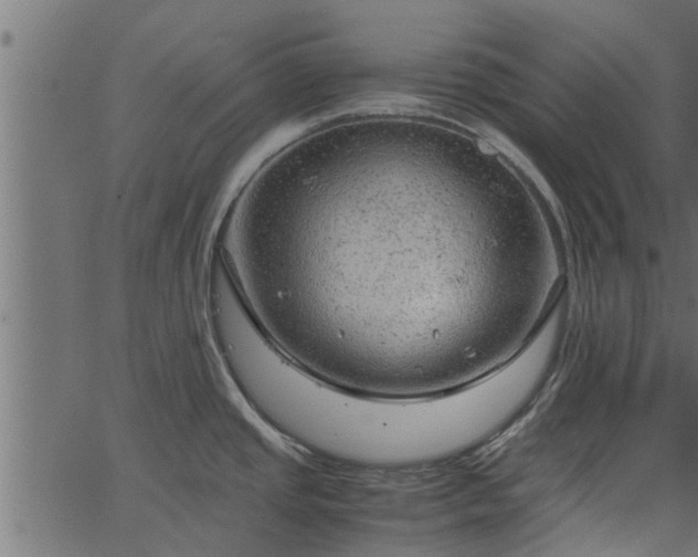 X0000066941437200603311406