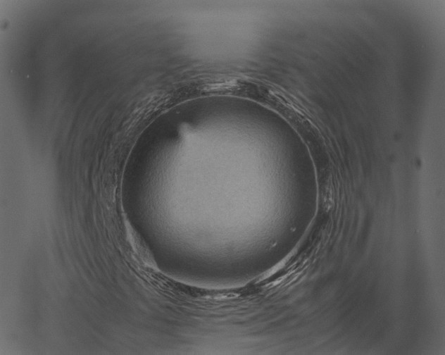 X0000066941441200603311405