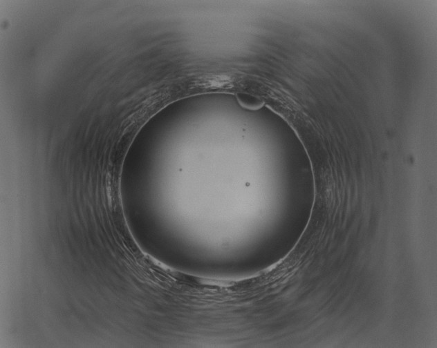 X0000066941442200603311405