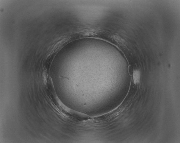 X0000066941444200603311405