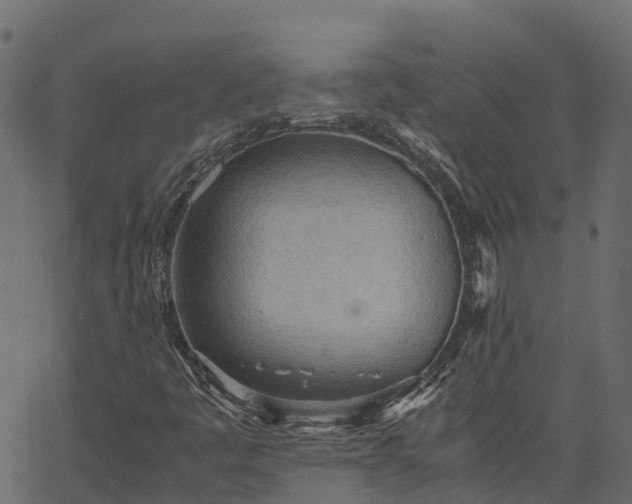 X0000066941445200603311405