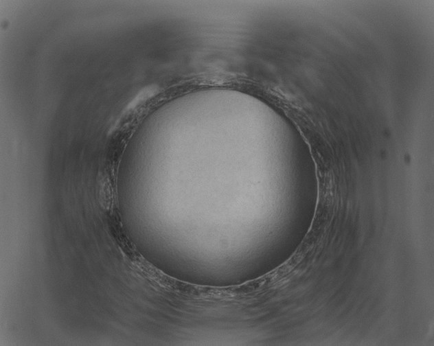 X0000066941446200603311405