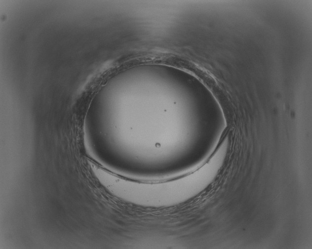 X0000066941447200603311405