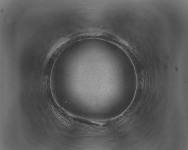 X0000066941448200603311405