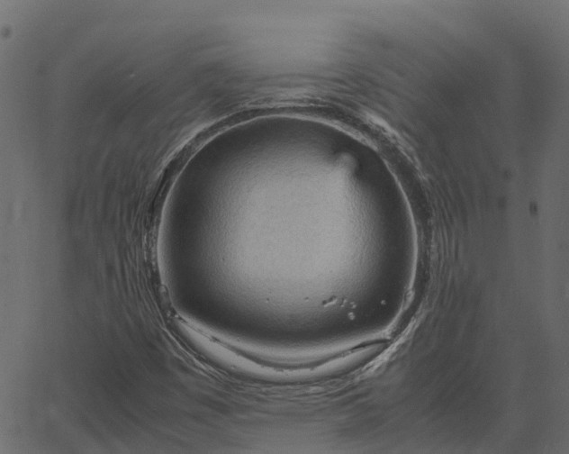 X0000066941449200603311405