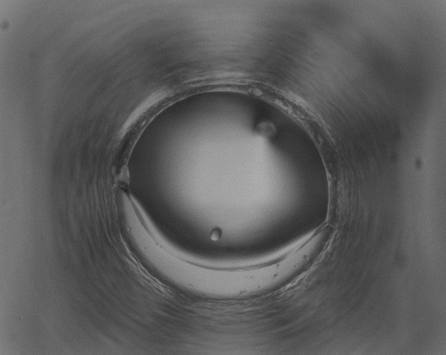 X0000066941450200603311405