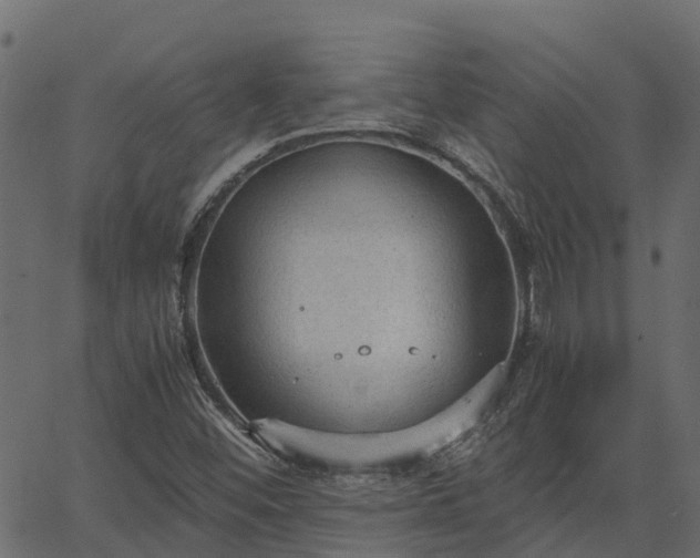 X0000066941452200603311405