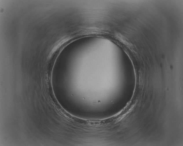 X0000066941453200603311405